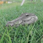 imageUrl_7