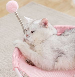 Cama Elevada para Gatos Rosado