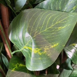 Cuadricula Mediana De Hoja Tipo Jiboia 4104