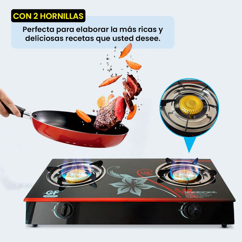 Cocina-a-Gas-2-Hornillas--5