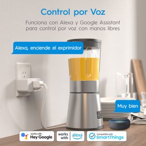Enchufe Inteligente Meross Mss110 Alexa Google