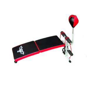 Banca Abdominal con Pera por Real Fitness - mdk-303