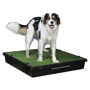Baño para Perro Grande