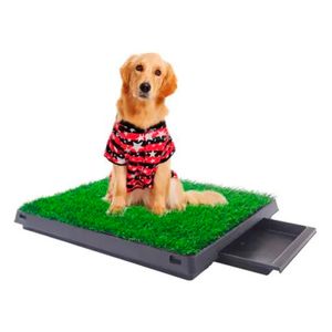 Baño para Perro Grande