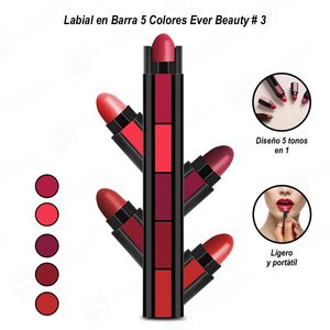 Labial en Barra 5 Colores Ever Beauty Color 03