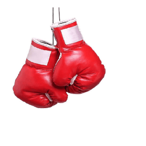 Saco de Boxeo LLeno de 150 CM. con Rack , Cadena y Guantes