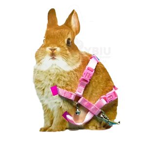 Arnes de Conejo Mascota Pequeña Rosado