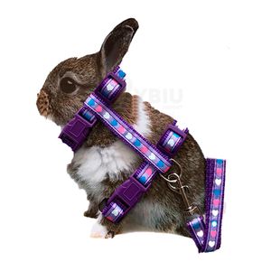 Arnes de Medida Ajustable Para Hámster Lila