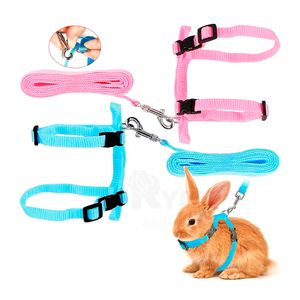 Pack 2 Correa Ajustable Para Conejo