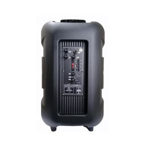Parlante Portable Eversound EV3001-FLAMING12" Iluminación LED con Micrófono