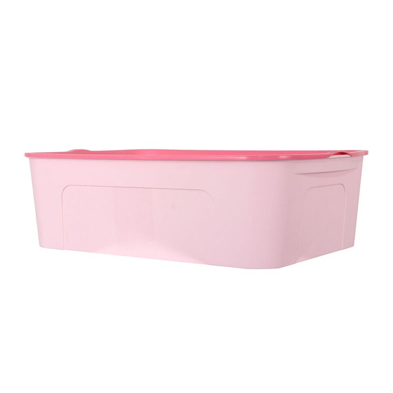 Caja De Almacenamiento Mediana Rosa