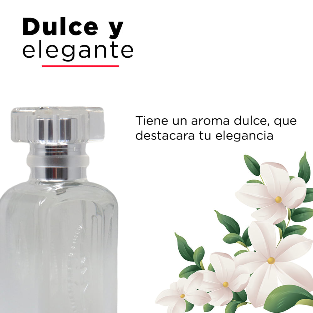 Perfume para mujer white tea elegance Miniso Real Plaza