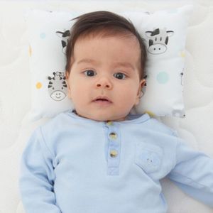 Almohada Maternelle Anti Cabeza Plana Plomo Animal