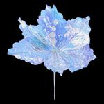 imageUrl_2
