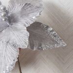 imageUrl_3