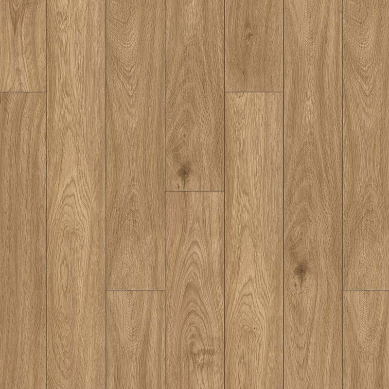 image-9dfe82d19a074ff5bd7d8e9e48eaaecc