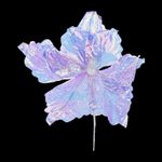 image-7cb7ced1bae944debaae48497a010feb
