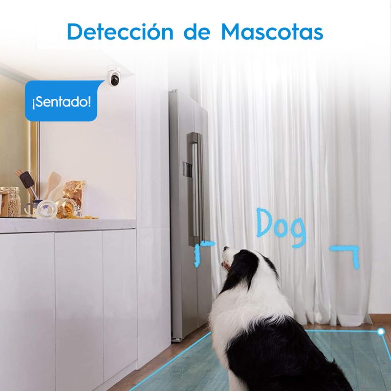 image-4de21f6f97ef4eb4833a8abf61e238ab