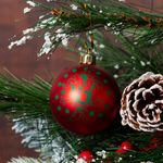 imageUrl_3
