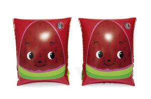 Flotadores de brazo 23cmx15cm