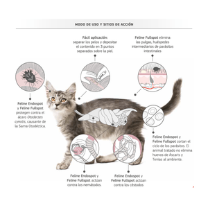 Antiparasitario Interno para Gatos entr 1 a 2 Kg Labyes Feline Endospot