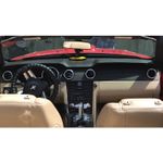 imageUrl_19