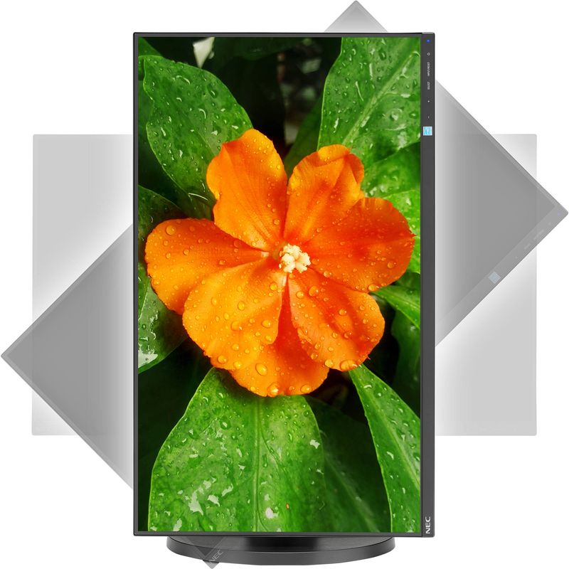 imageUrl_6