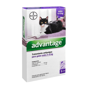 Pipeta Antipulgas y Antiparasitario para Gatos desde 4 a 8 kg Bayer Advantage