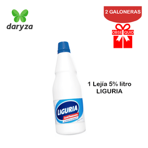 Detergente Líquido Concentrado Daryza Max Matic 2 Litros Pack 2 Galoneras