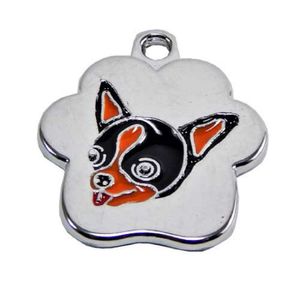 Placa de Identificación para Perro Chihuahua Rainbow