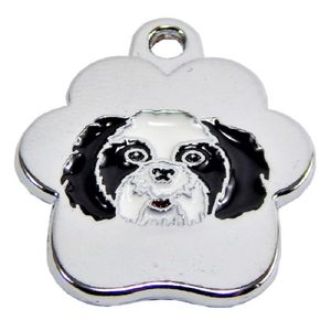 Placa de Identificación para Perro Shih-tzu Rainbow