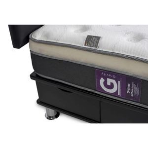 Domitorio Facundo Gravity King + 2 Almohadas
