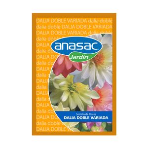 Semillas de Dalia