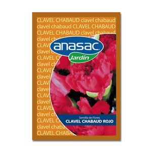 Semillas de Clavel Rojo