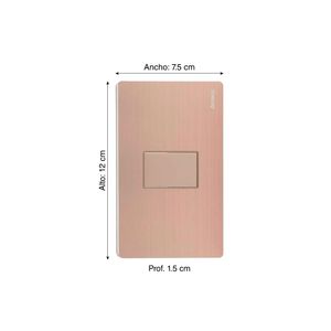 Placa Ciega Dorado Metallic