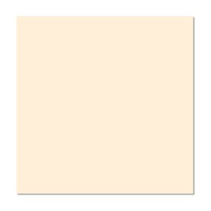 Piso porcelanato pulido Marfil ind 60x60cm 1.44m2