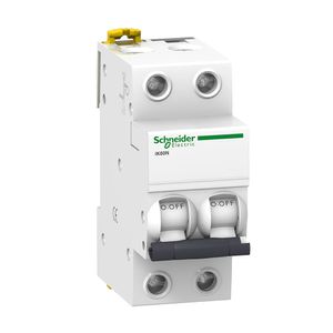 Interruptor termomagnético IK60-2X50A