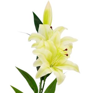 Lirio crema 91cm
