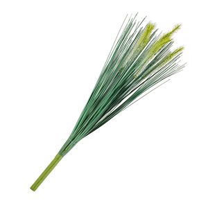 Brezo Blanco 46cm