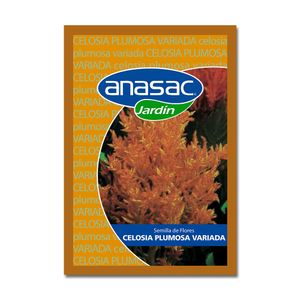 Semillas de Celosía Plumosa