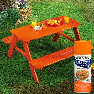 Spray Naranja Brillante 340 gramos