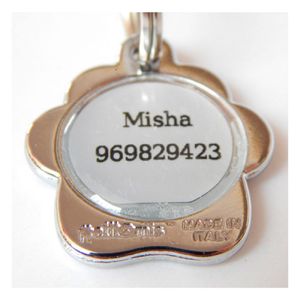 Placa de Identificación Gato Sentado Negro