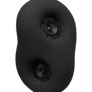 Altavoz de escultura acústica transparente (negro)