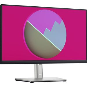 Monitor Dell P2222H 21.5&quot; 16:9 IPS