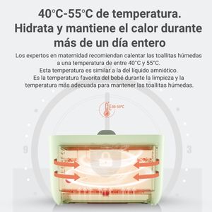 Calentador de Toallitas Húmedas Boboduck F6250