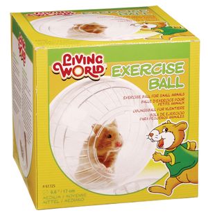 Bola Esfera De Ejercicio Para Hamster Con Parantes 17 cm Transparente - Living World