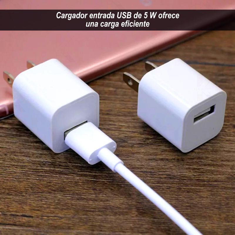 Cargador Adaptador original Apple Lightning to USB y cable para iPhone –