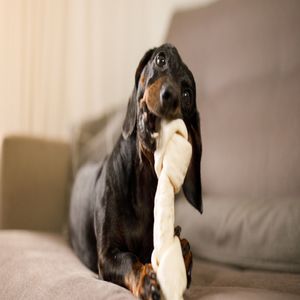 Hueso Carnaza para Perros