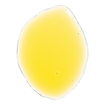 image-48524998c72b42b6820fd1eb21529ea9