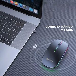 Mouse Inalámbrico Recargable con Iluminación LED RGB GR270025 Dreizt Negro